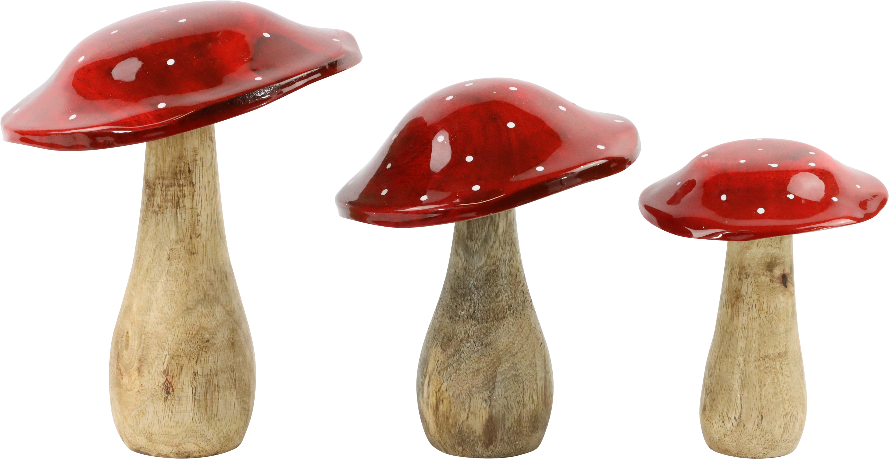 1166 AMANITES TUE-MOUCHES 3P