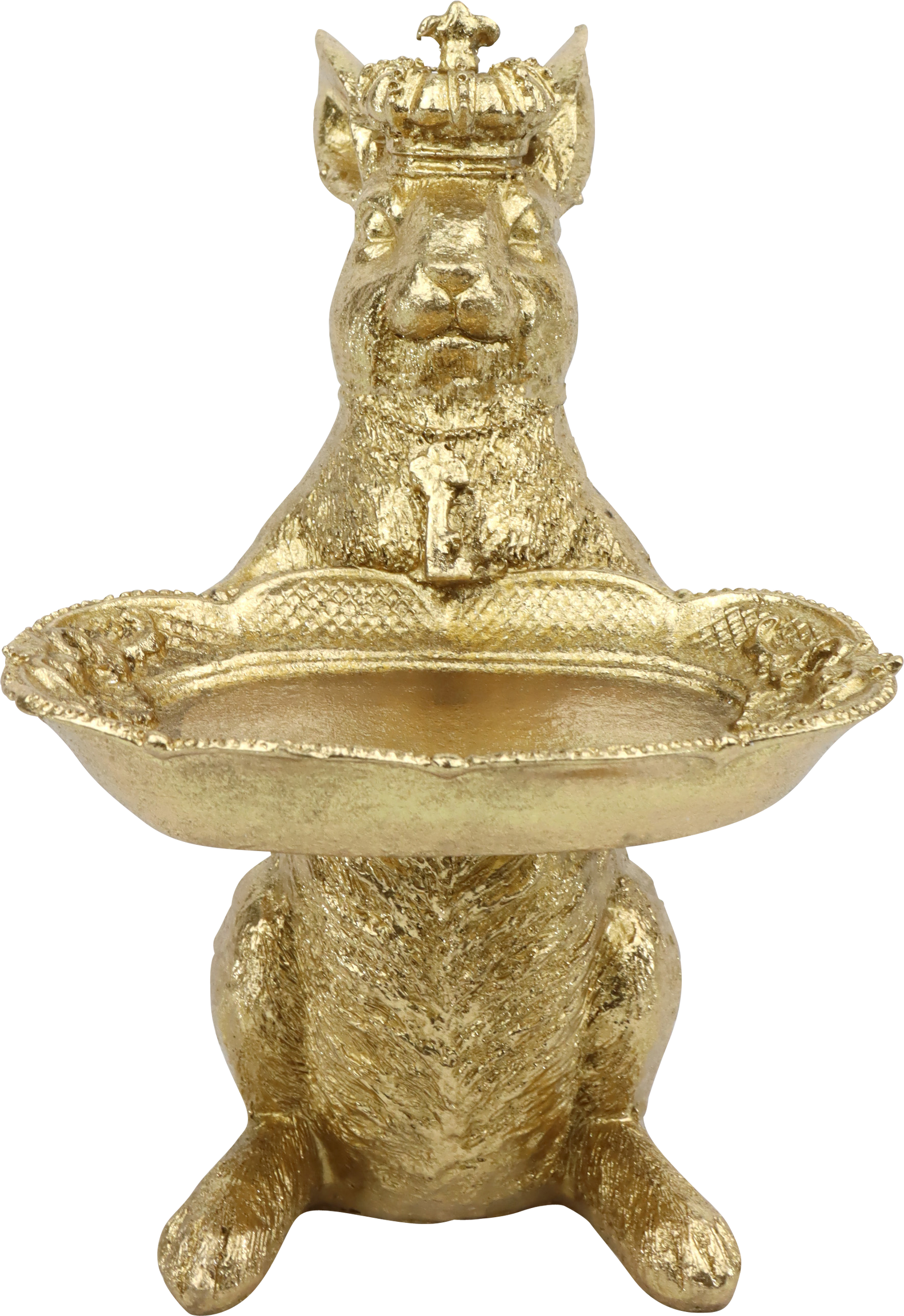 1433 SERVEUR  GOLDHASE