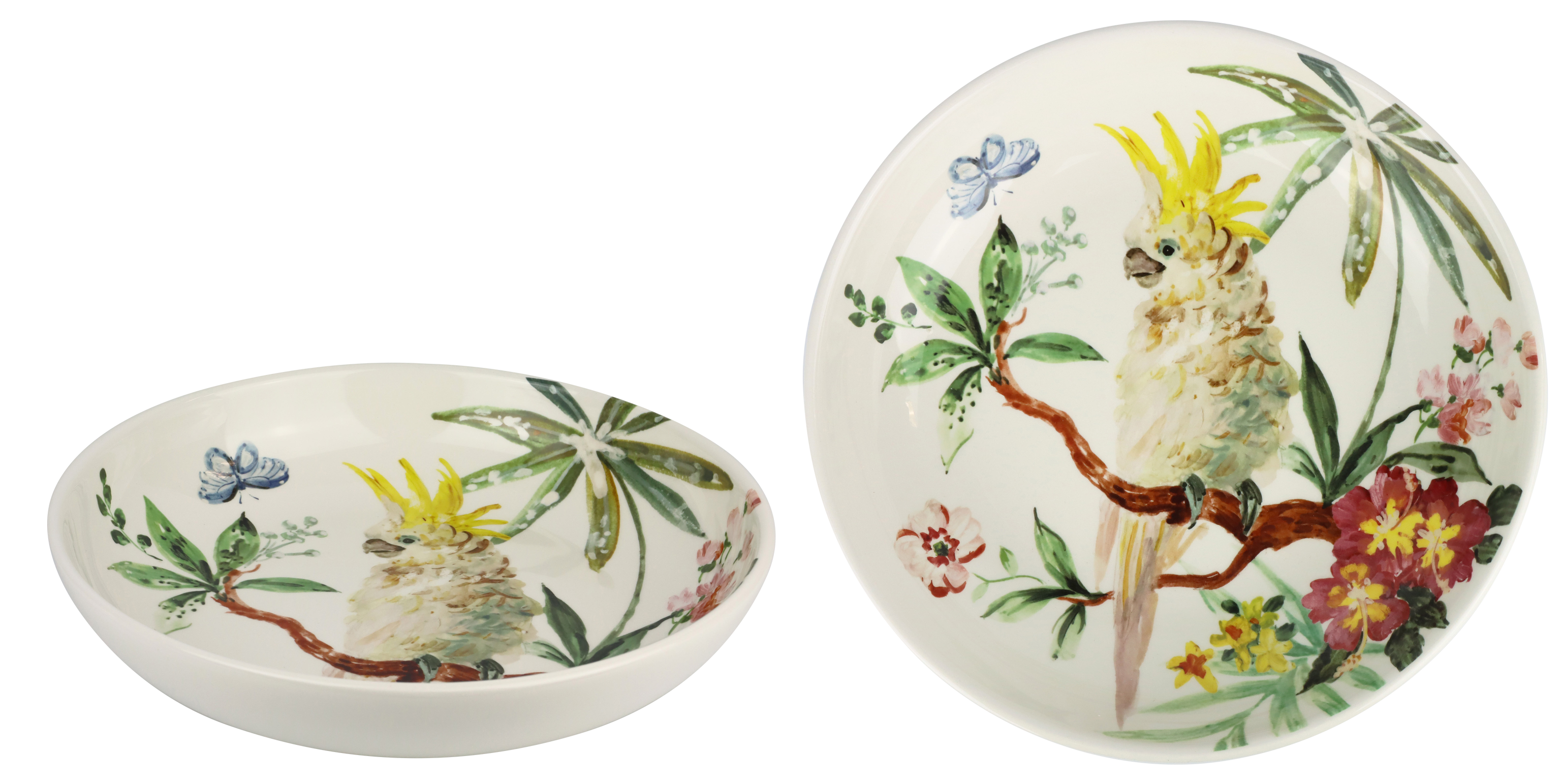 1639 PLATO PARADISE BIRD