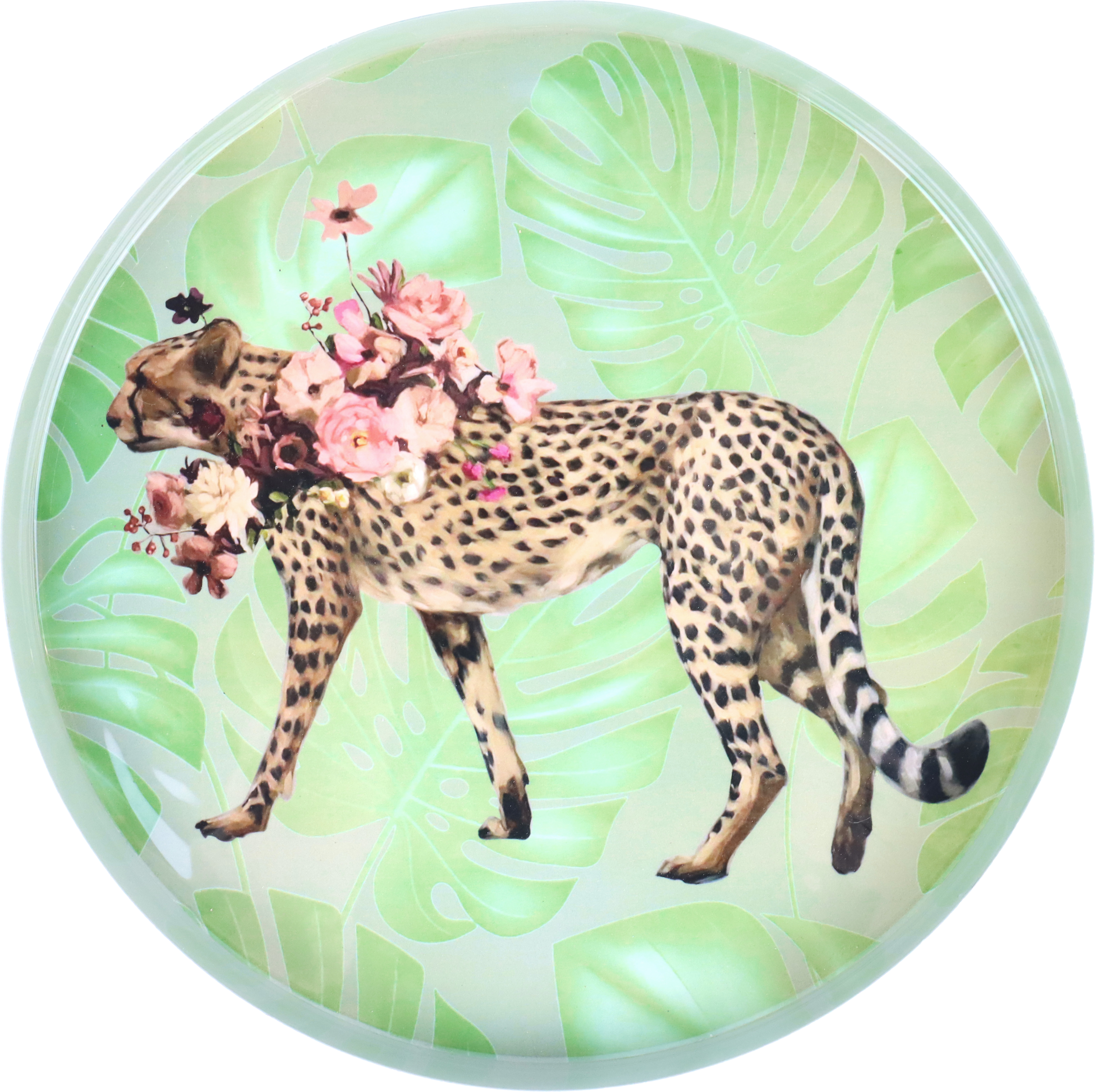 1655 BANDEJAS LOVELY LEO