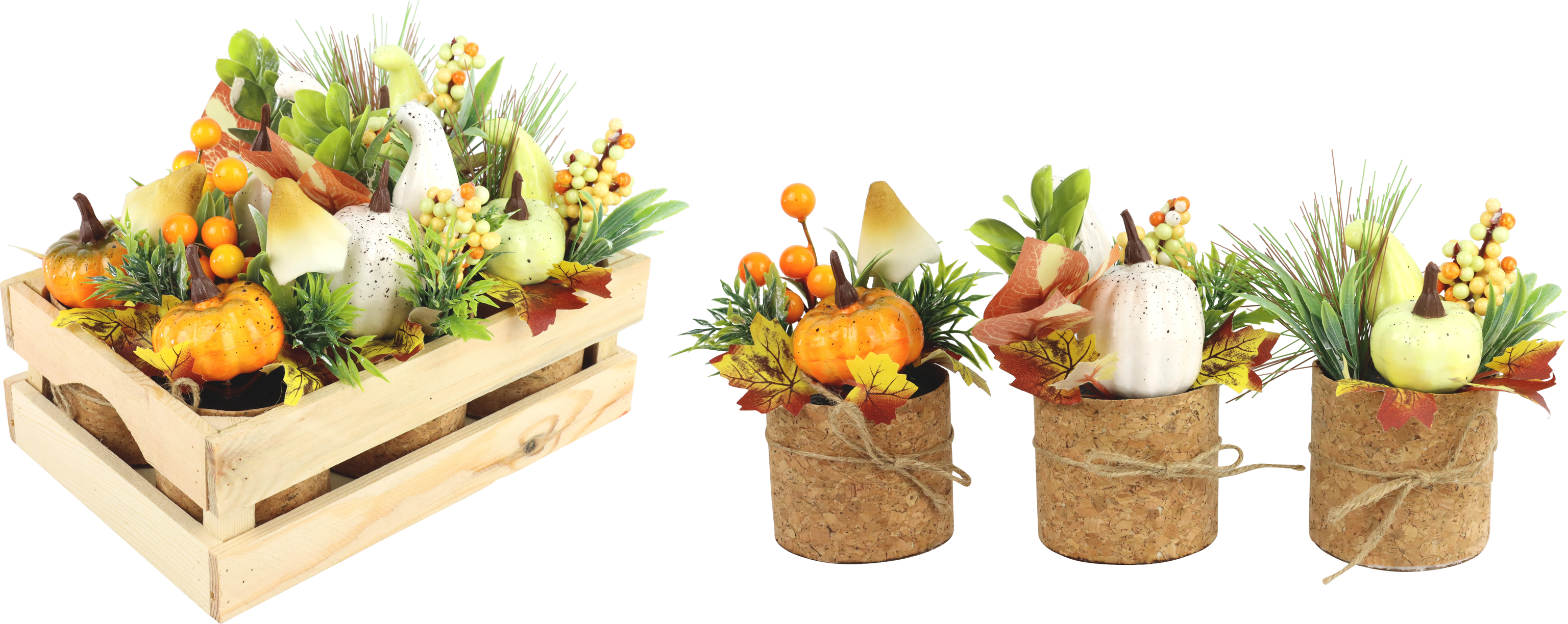 1861 BOUQUETS CAISSE « PUMPKINS » 6P