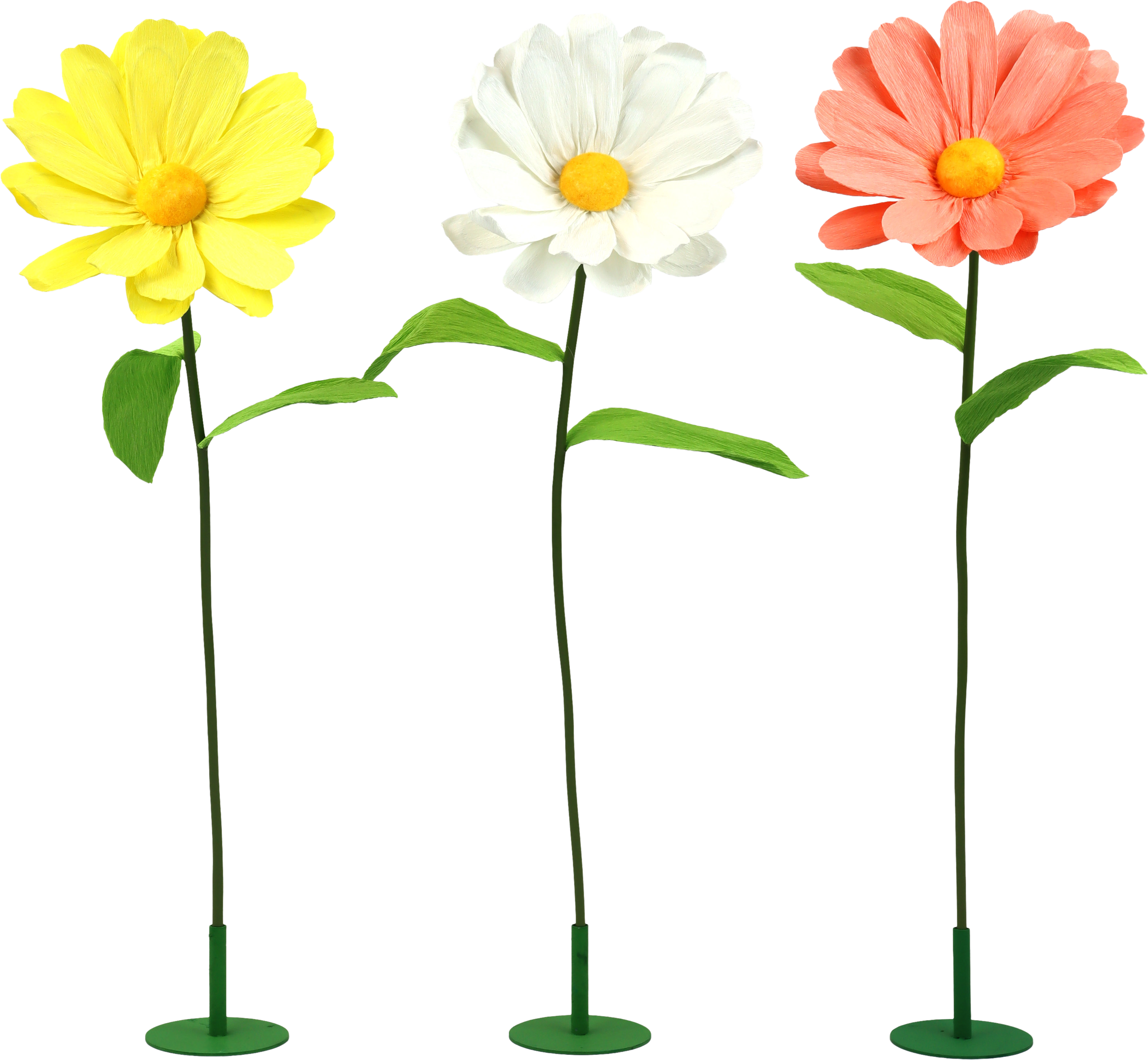 2014 BLUMENTRIO DAISY  S/3