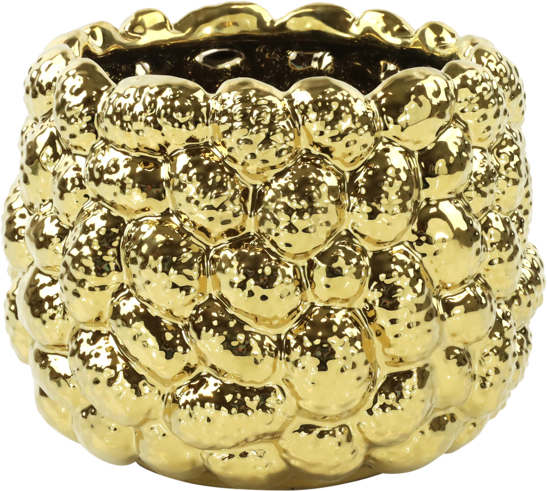 2391 COPIVASO PINE GLOW