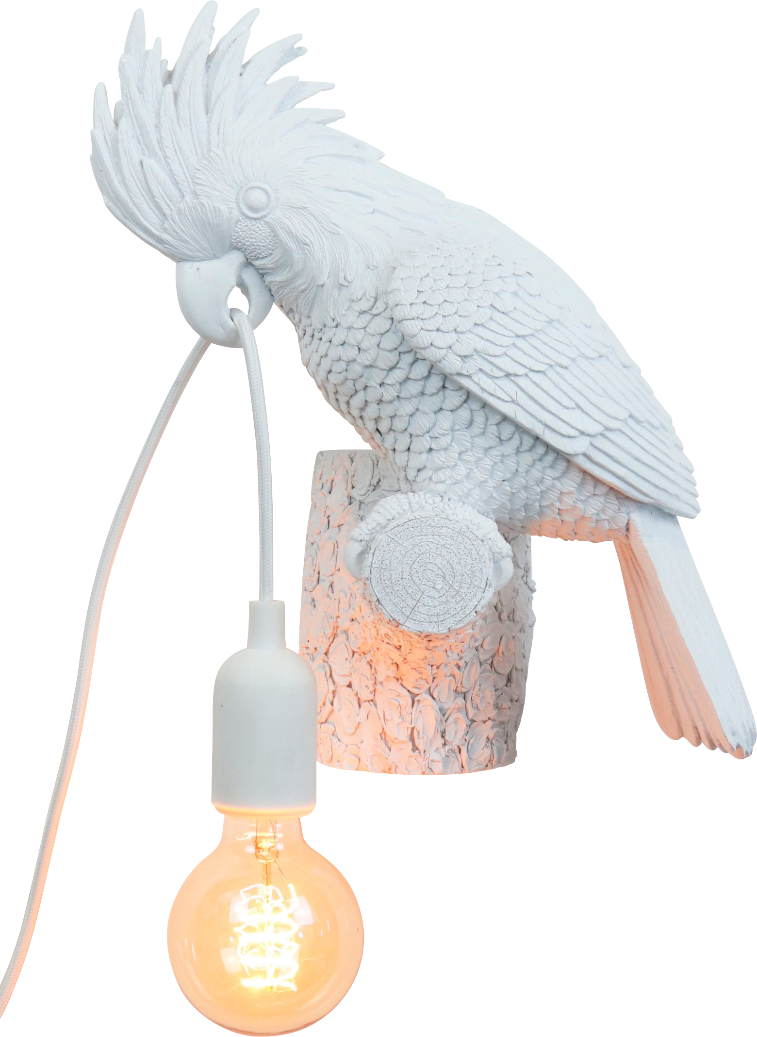 2487 LAMPADA  KAKADU