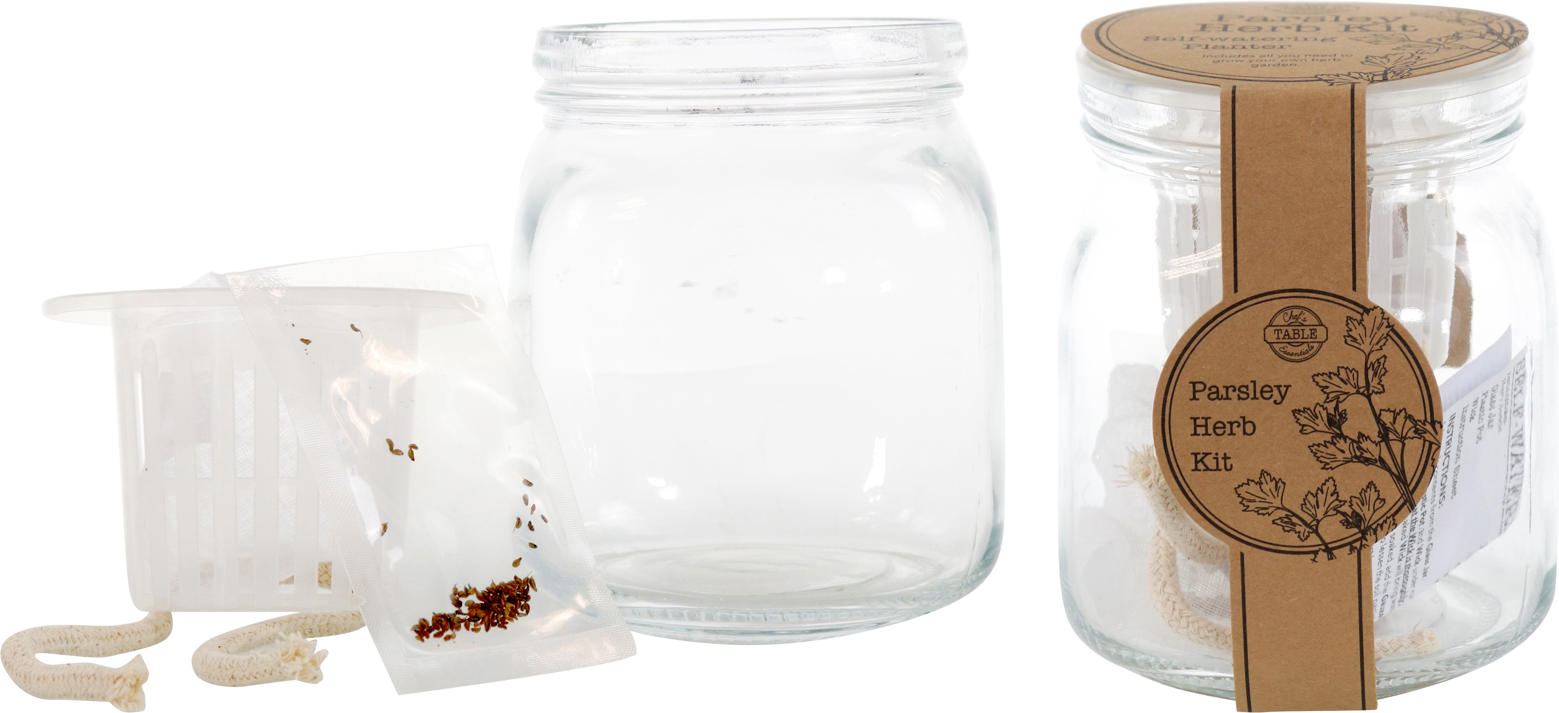 3131 PFLANZSET M. SAMEN PETERSILIE