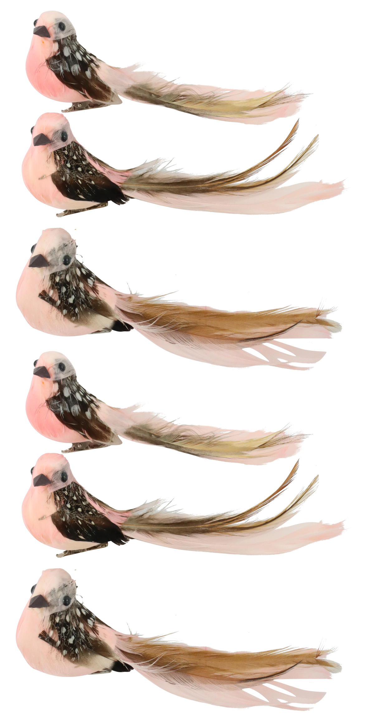 3213 PÁJAROS  BIRDY  S/6