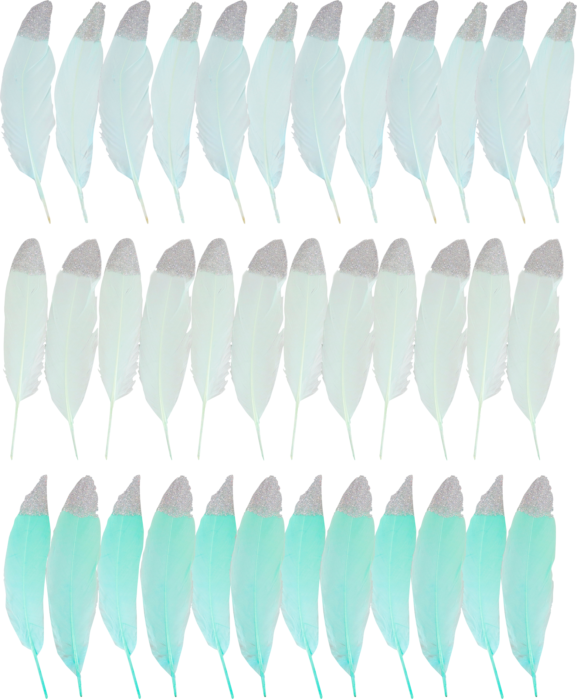 3326 PLUMES  MINT  36P