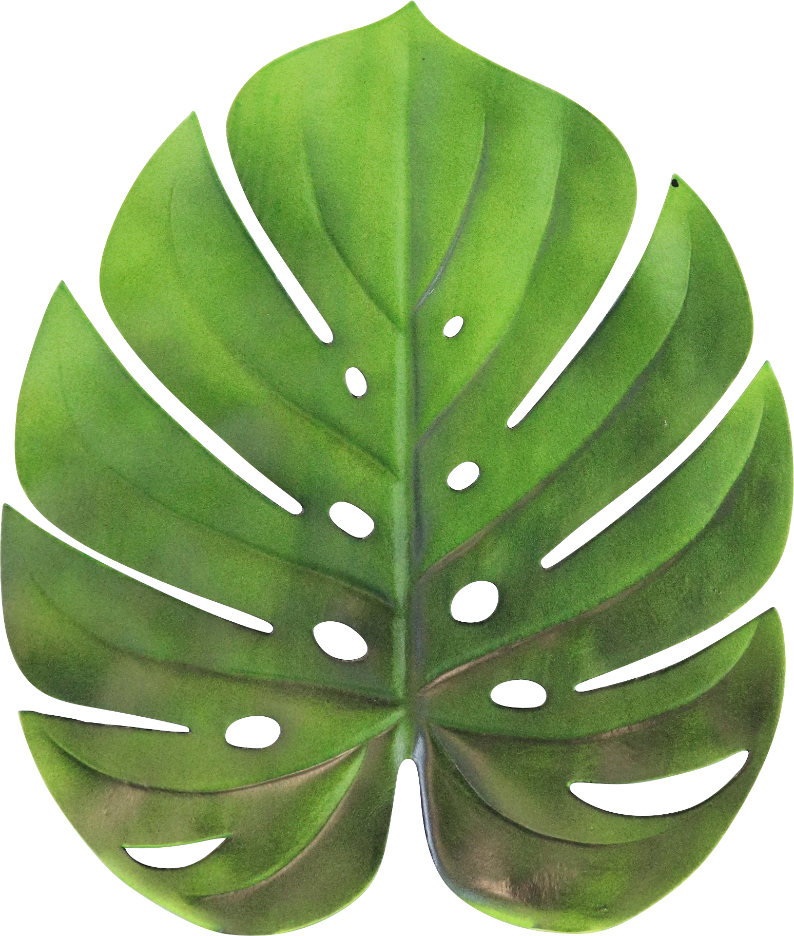 3645 BAJOPLATO MONSTERA