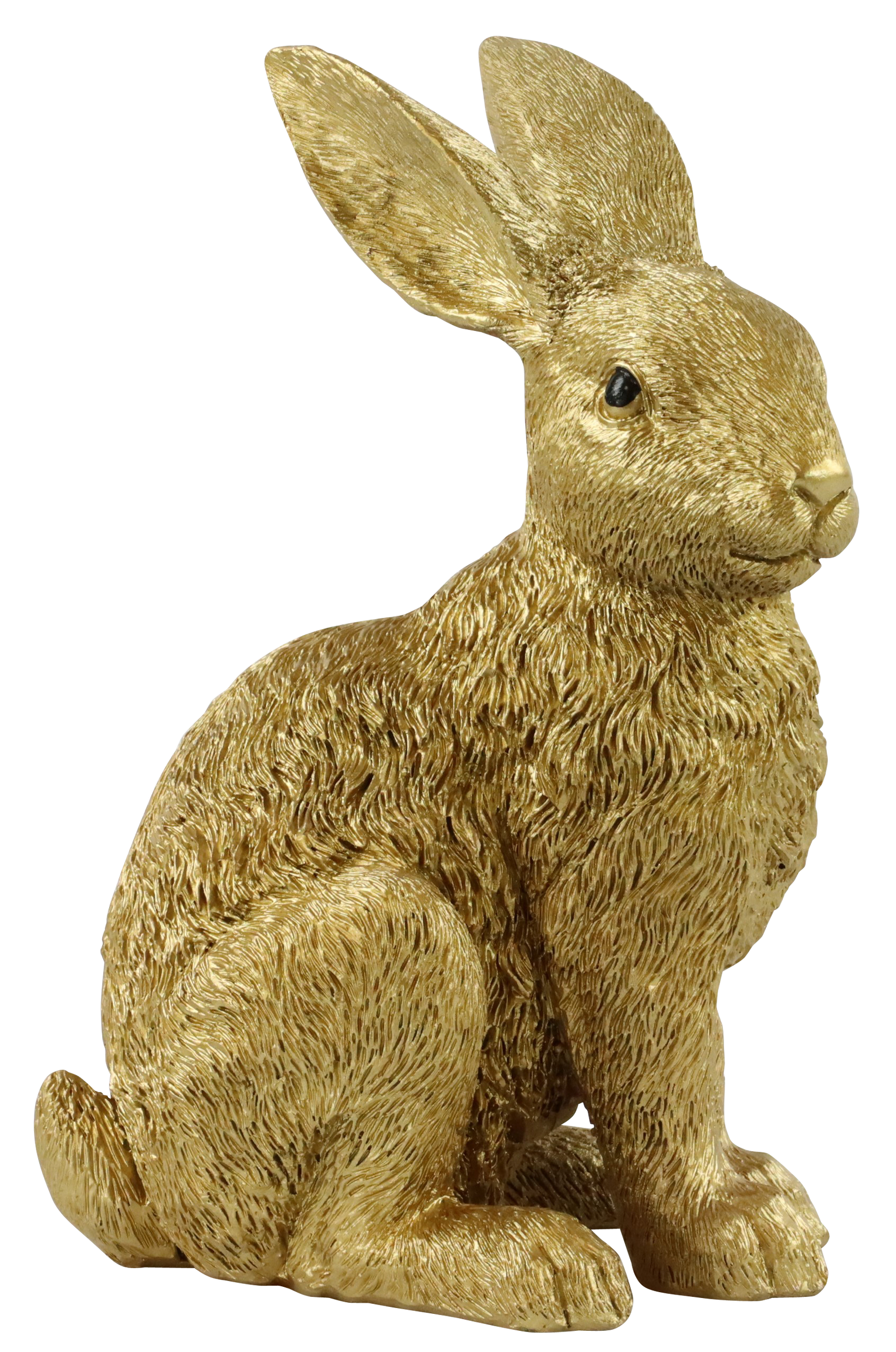 3666 CONEJO BUSY BUNNY