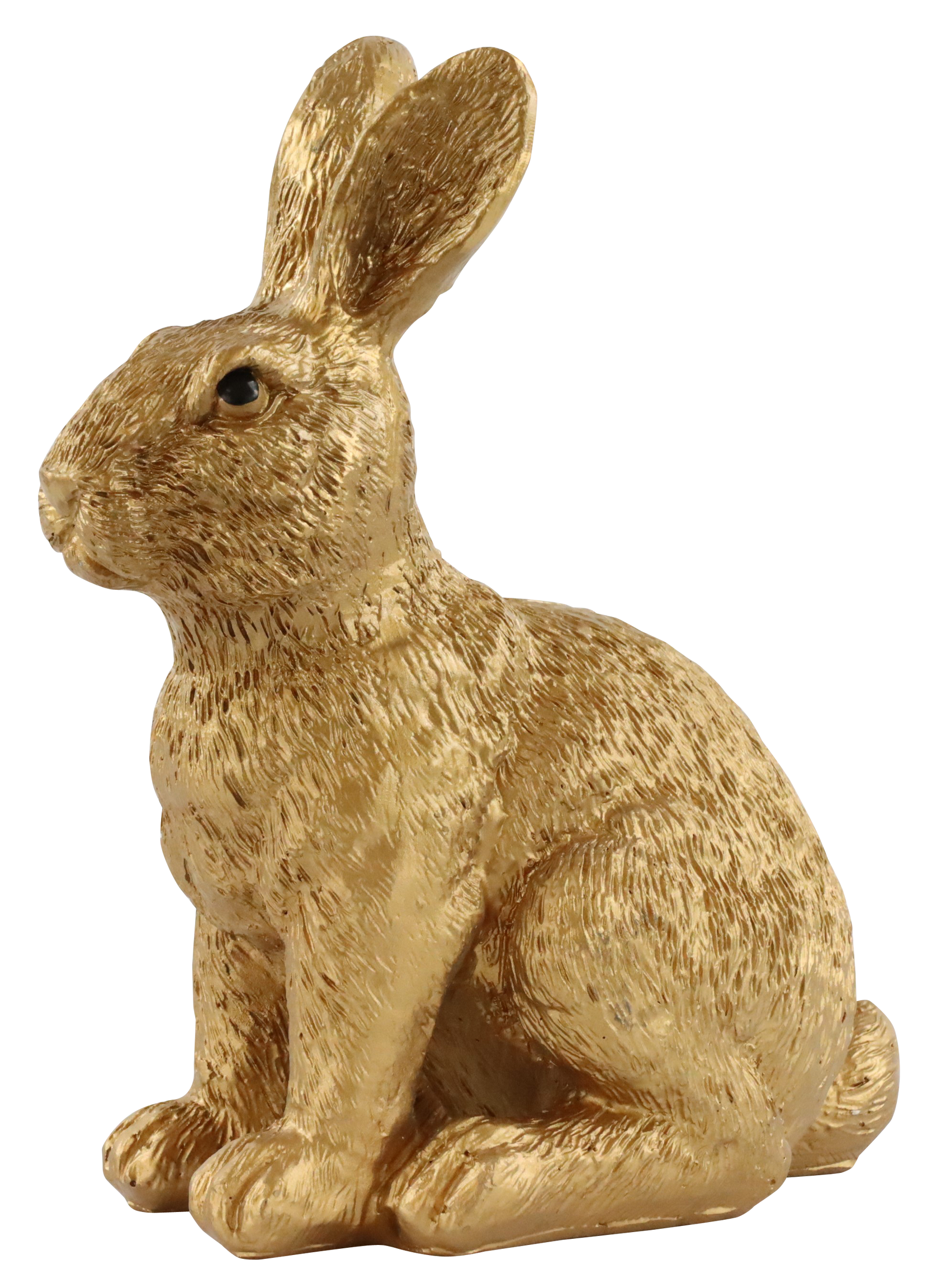 3678 CONEJO BUSY BUNNY