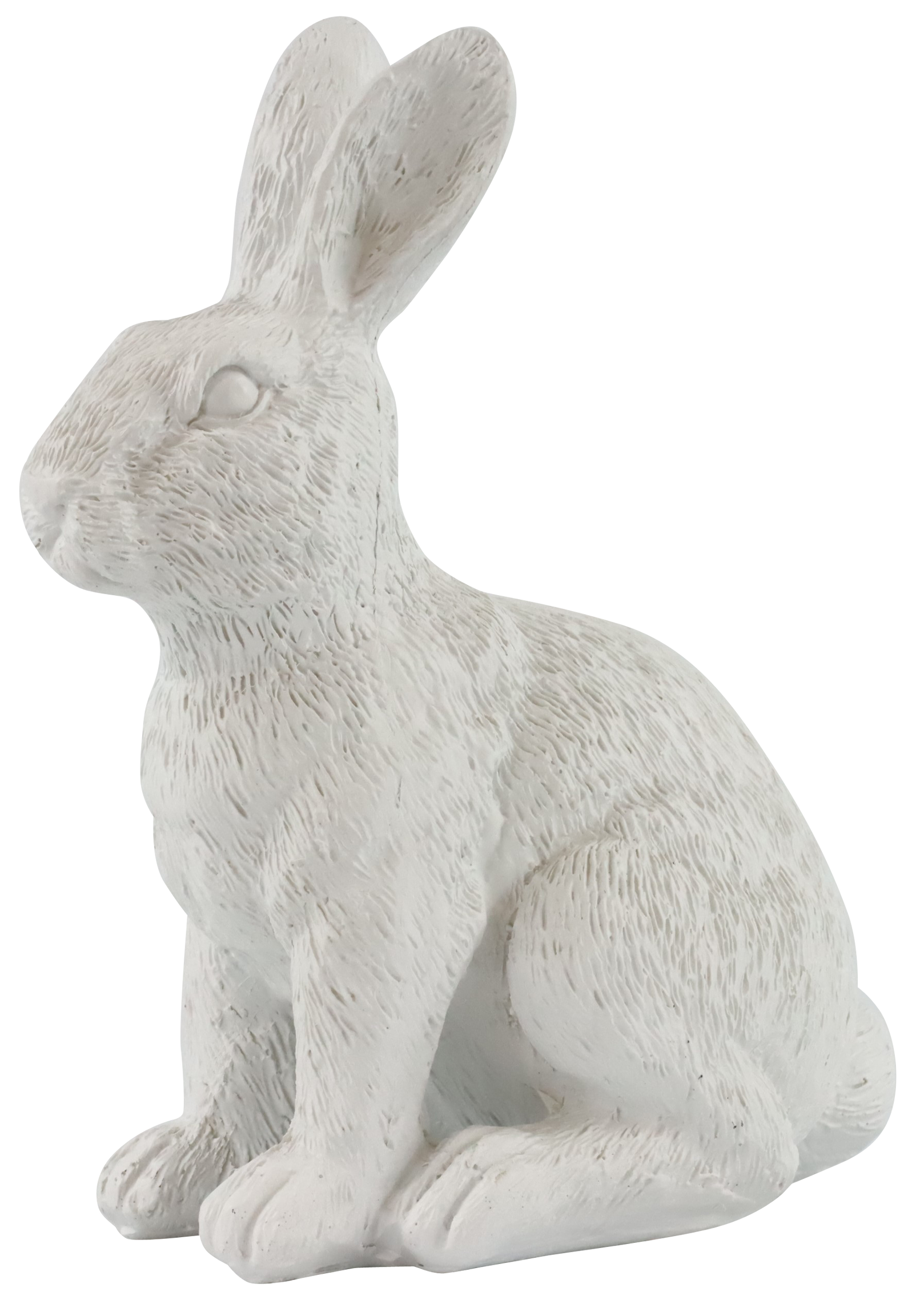 3679 CONEJO BUSY BUNNY