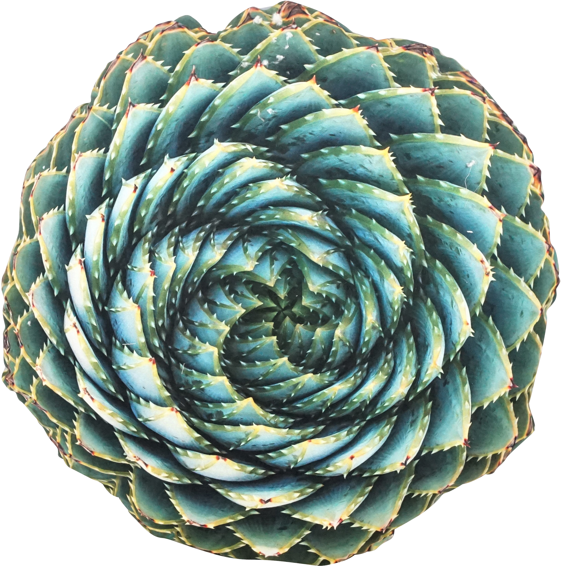 3694 CUSCINO  SUKKULENTE 60X60