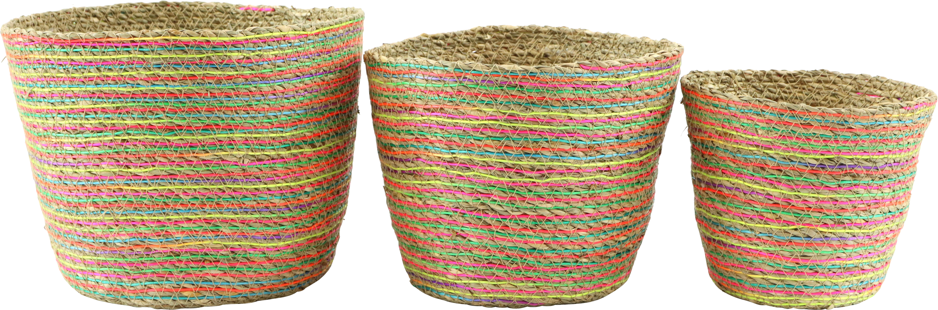 4486 CESTAS RAINBOW ROOTS  S/3