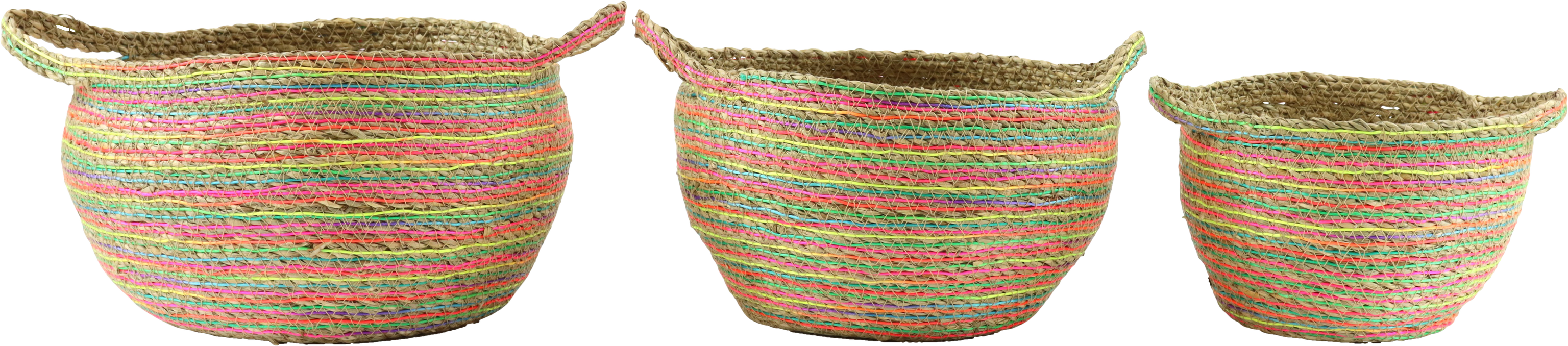 4487 CESTAS ASA RAINBOW ROOTS  S/3
