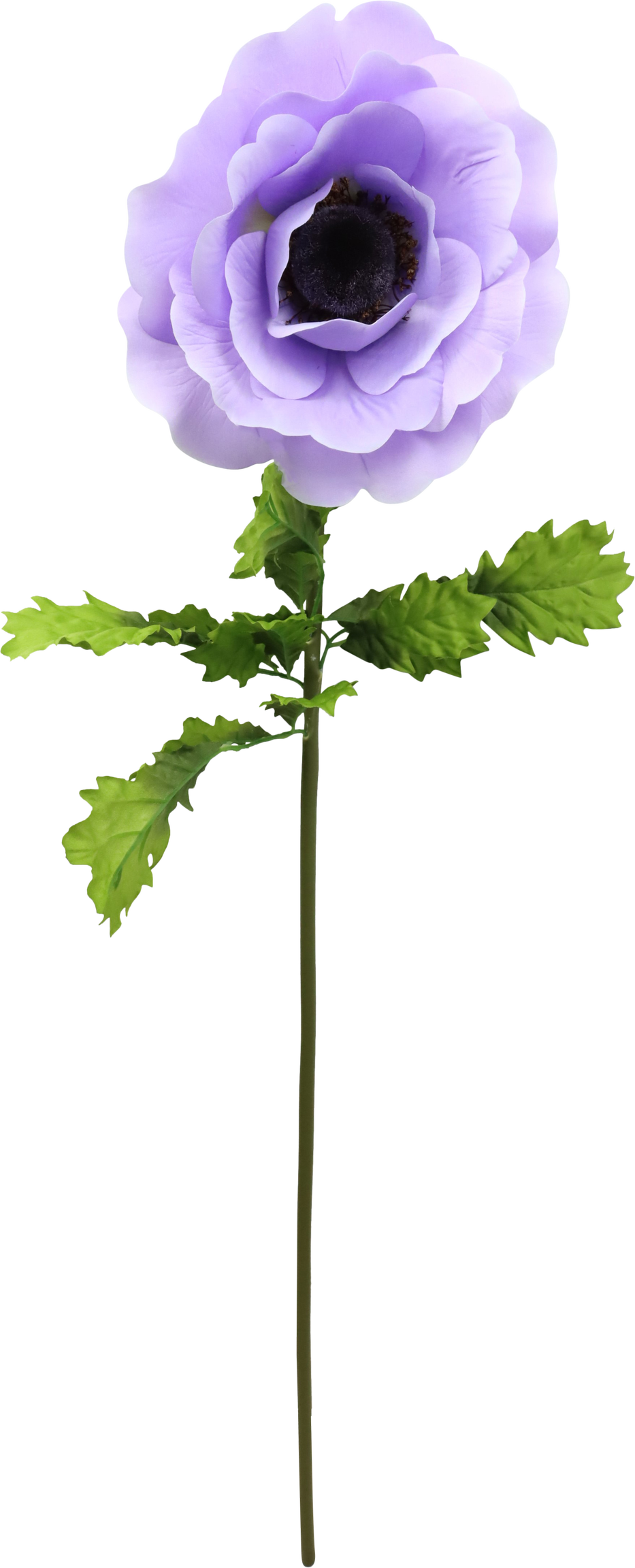 4777 FLOR GIGANTE  ANEMONE