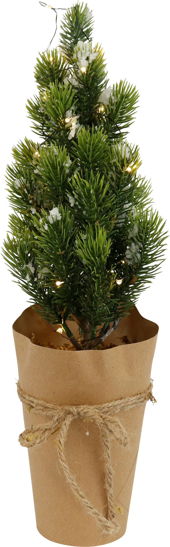 4834 ALBERO LED  FROZEN