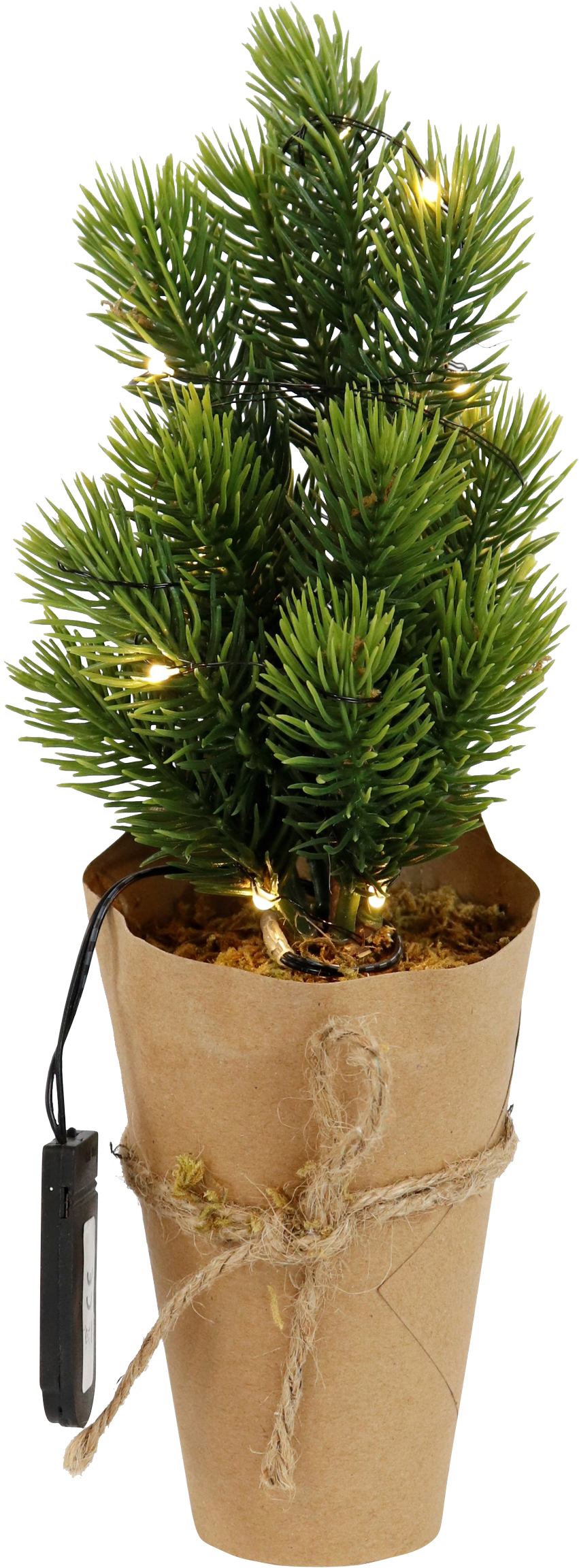 4835 ALBERELLO LED  FROZEN