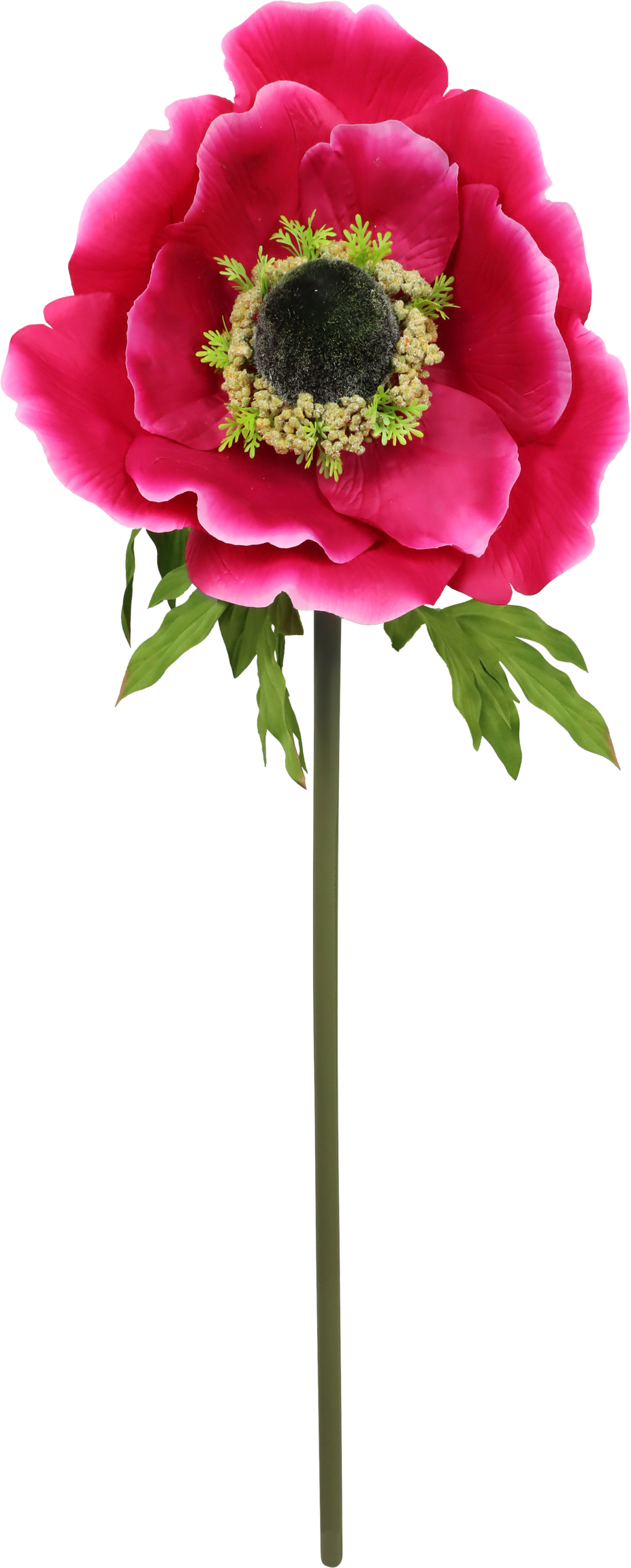 4912 FLOR GIGANTE  ANEMONE