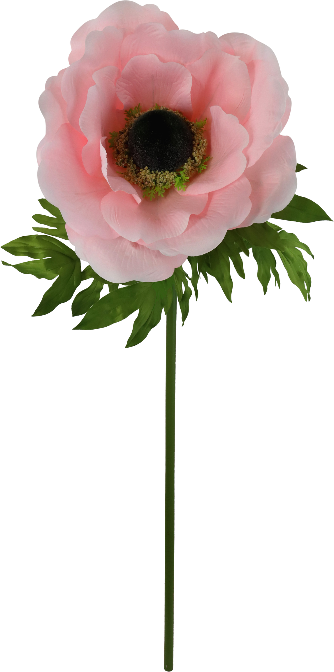 4921 FLOR GIGANTE  ANEMONE