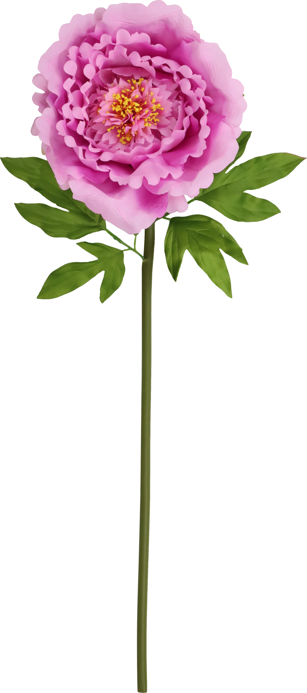 4993 FLOR GIGANTE  ROSE