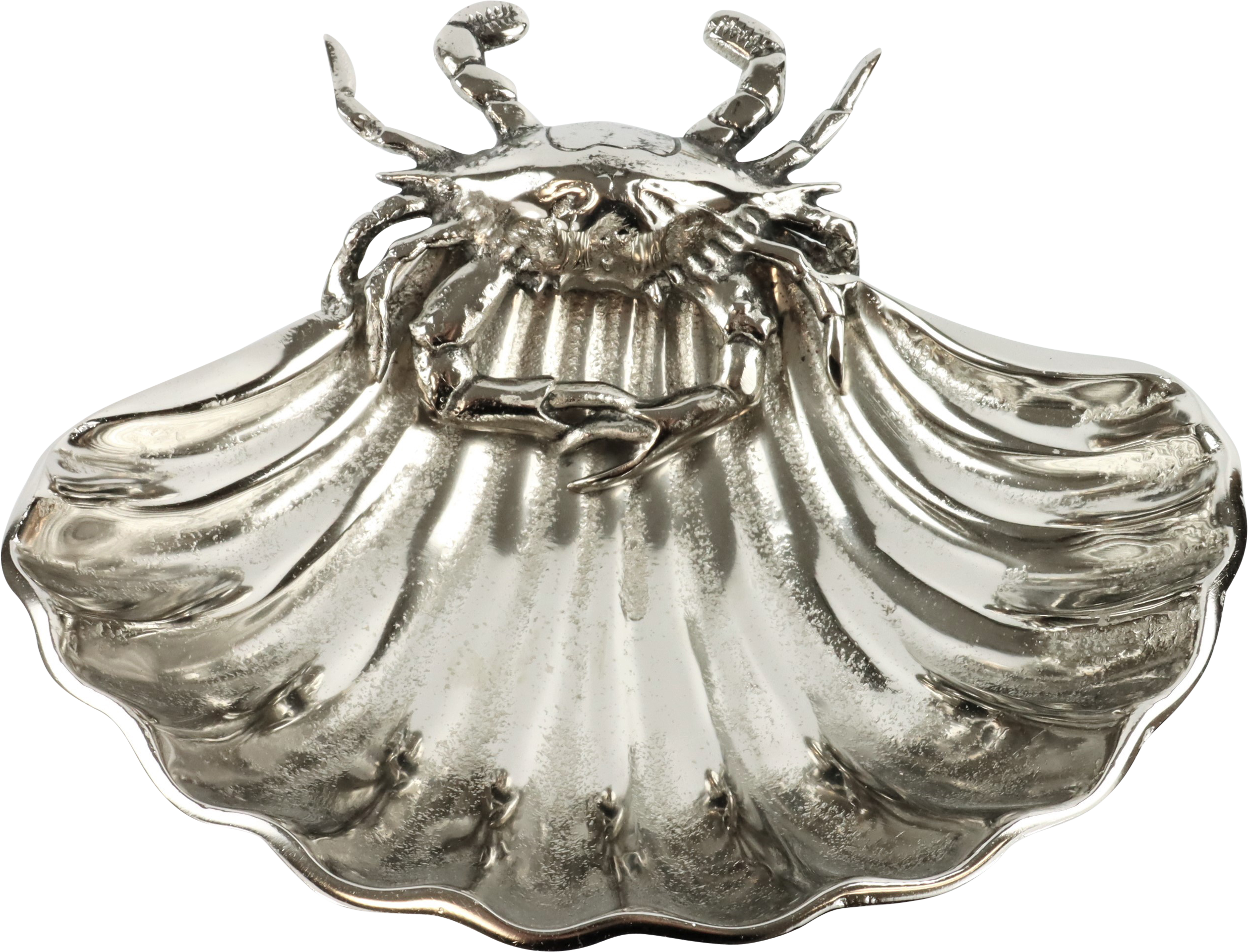 5061 CONCHIGLIA OCEAN