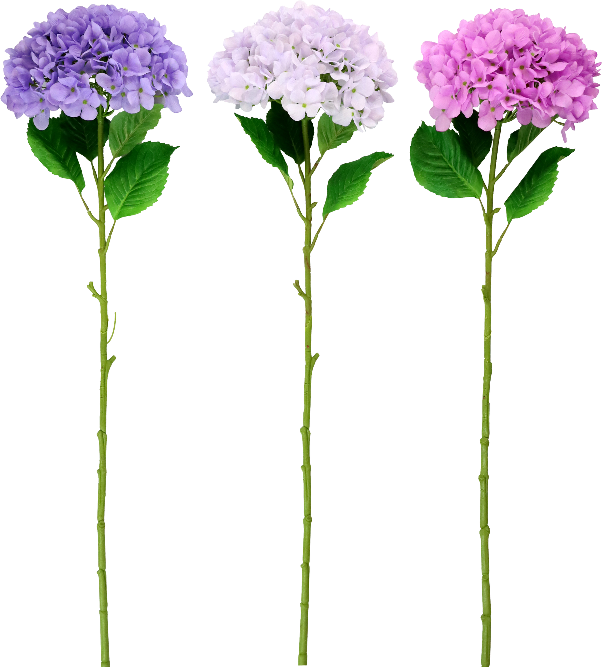 5248 FLOWERTRIO HYDRANGEA  S/3