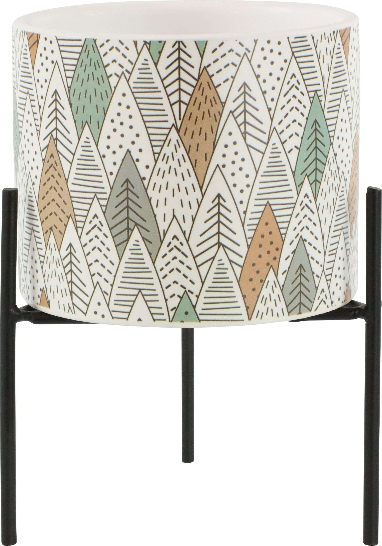 5363 PORTAVASO  BOSCO