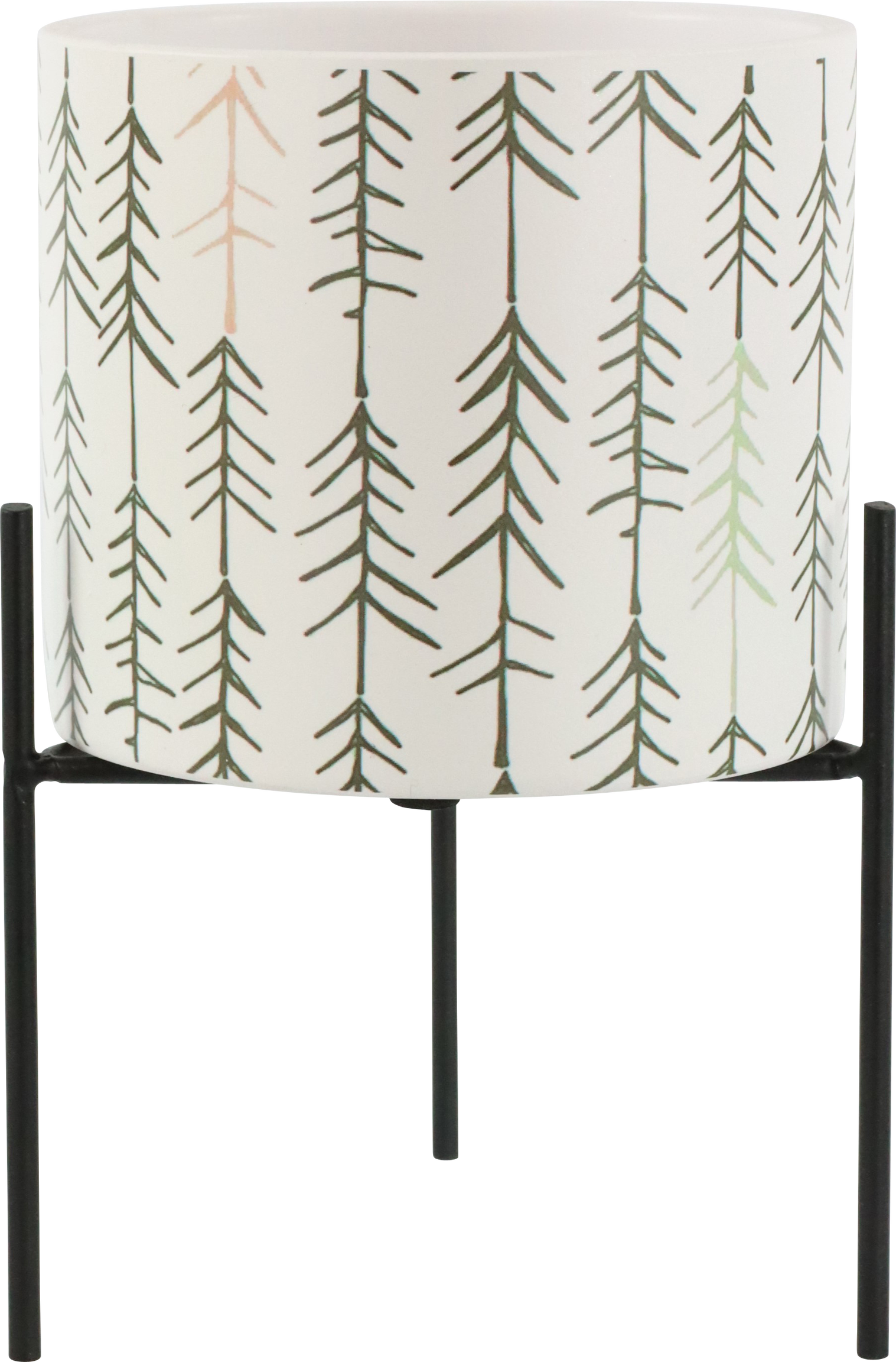 5372 PORTAVASO  BOSCO