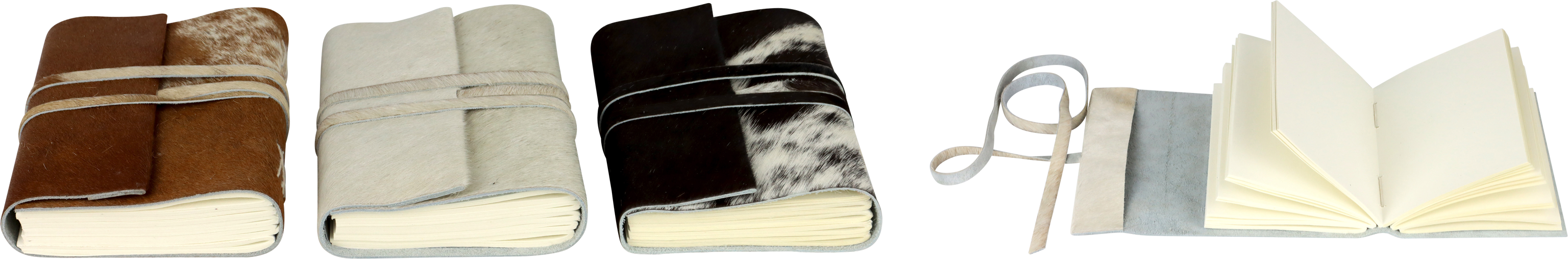 5428 NOTIZBÜCHER DAVOS  S/3