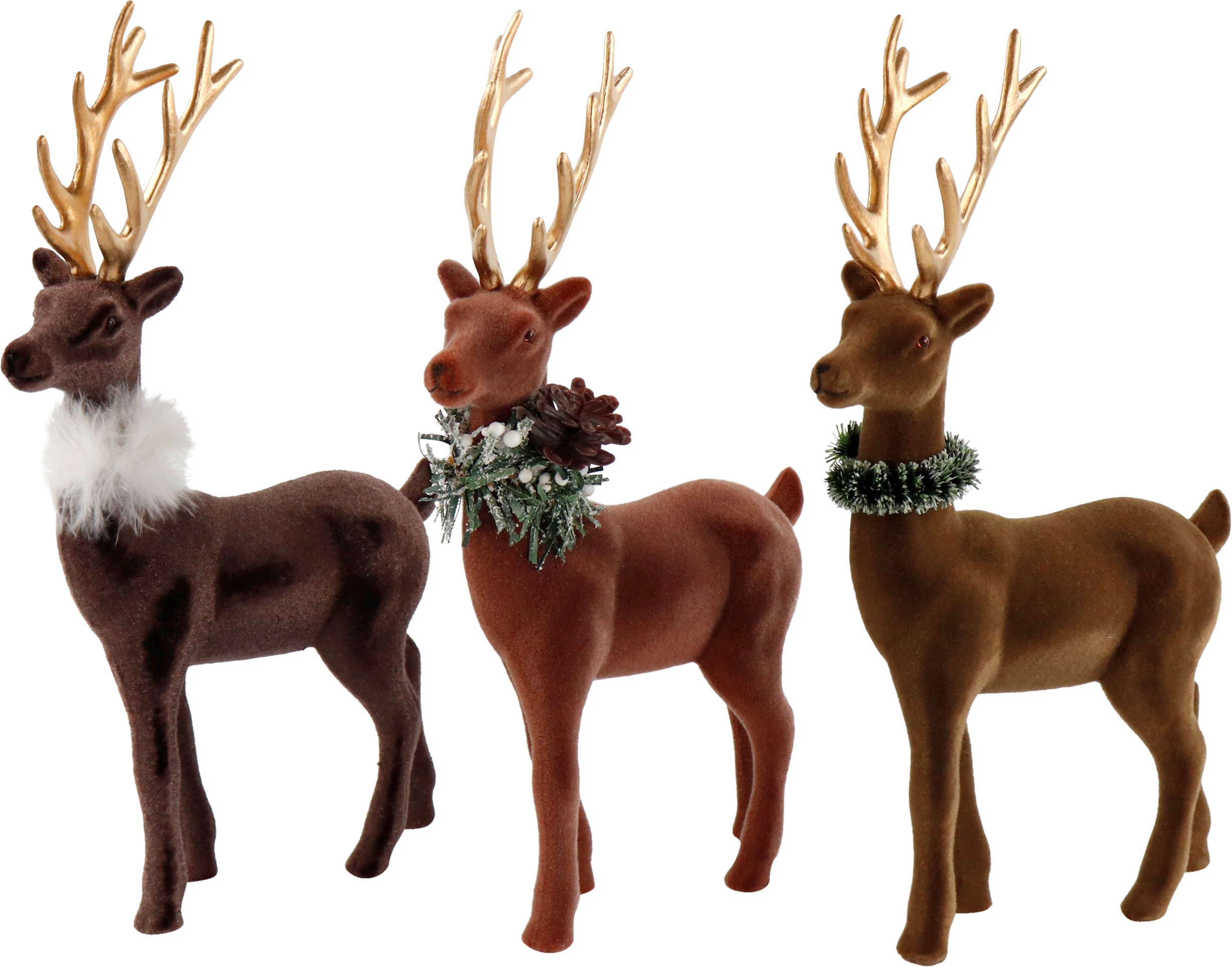 5742 CERVI  GINGER  3PZ