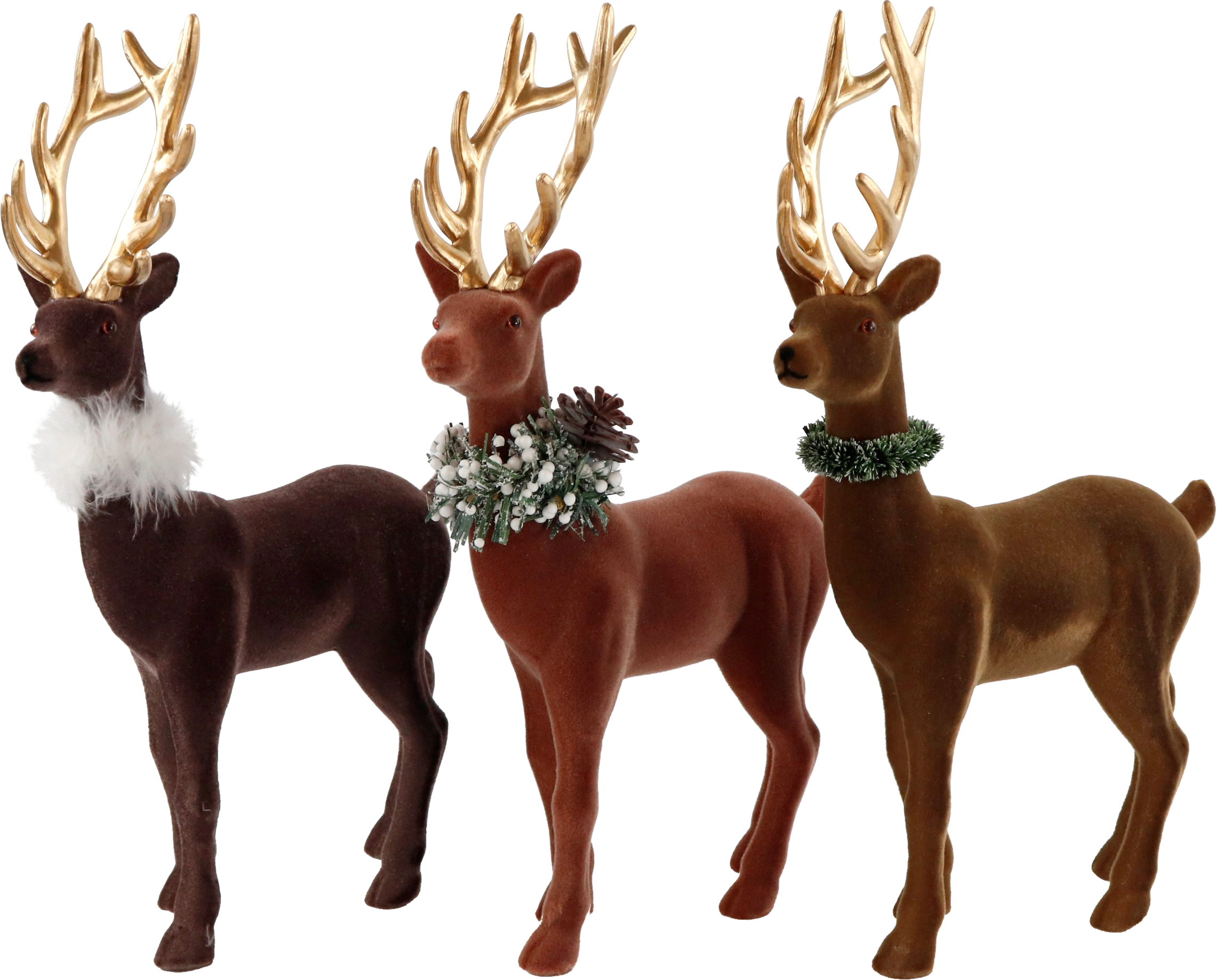 5743 CERVI  GINGER  3PZ