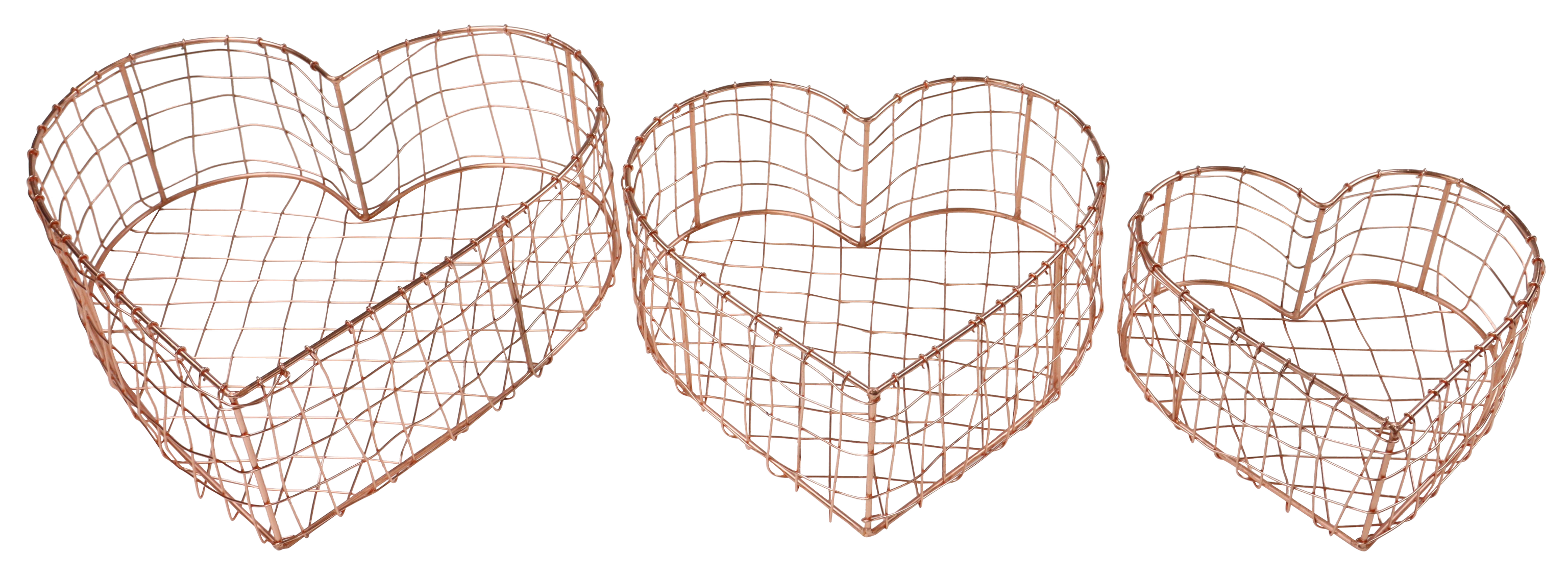 6301 CESTAS MAGAZZINO  S/3