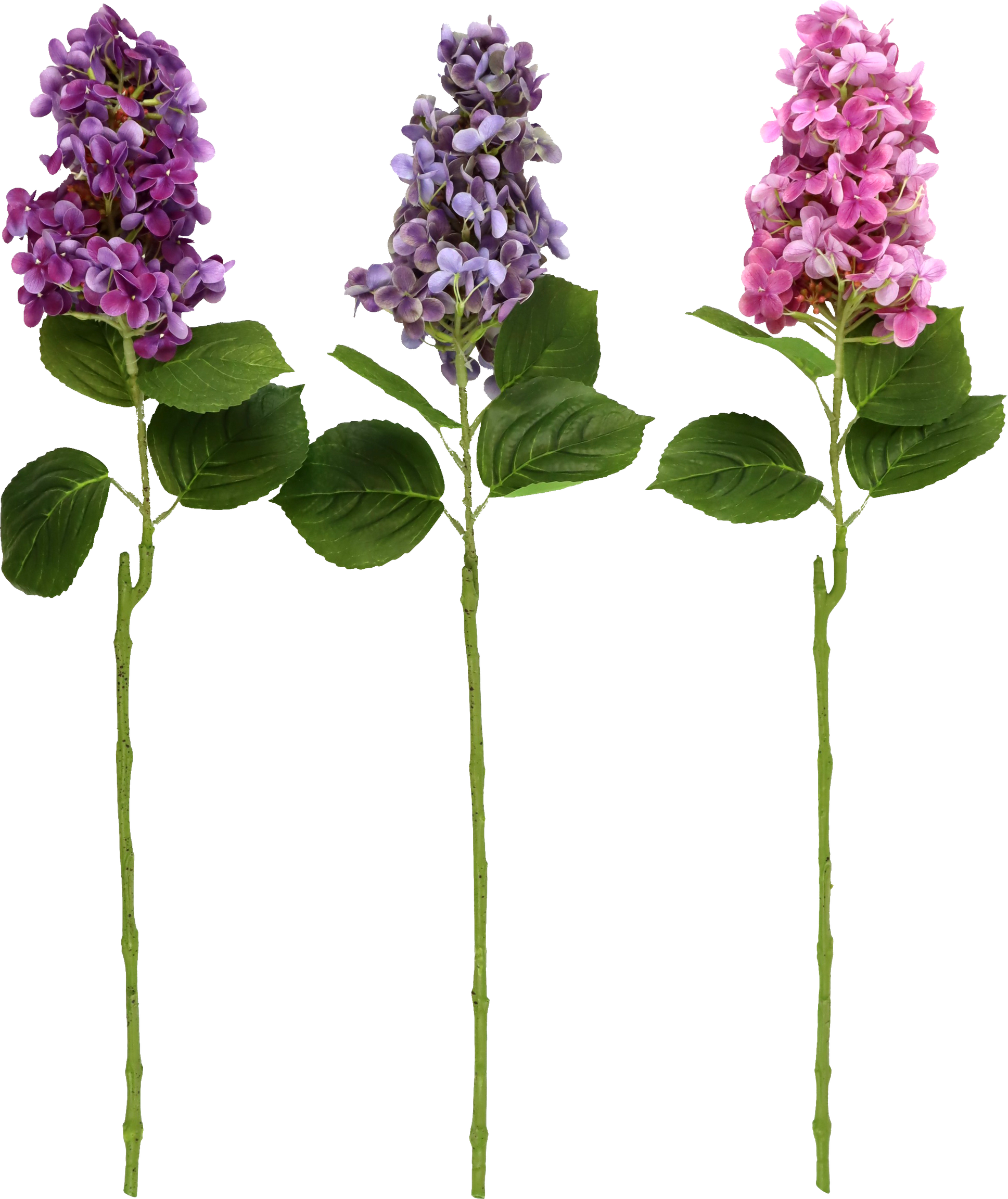 6605 FLOWERS HORTENSIE  S/3