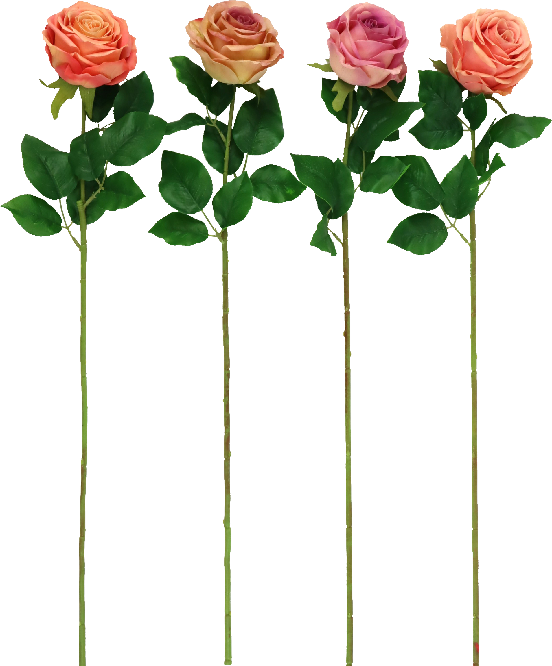 6670 FLOWERS ROSE  S/4
