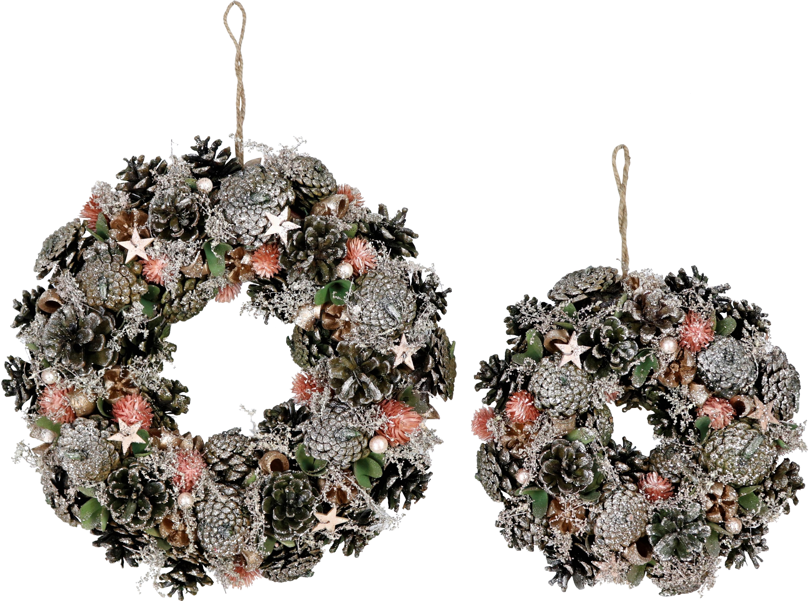 6685 KRÄNZE SILVRETTA  S/2