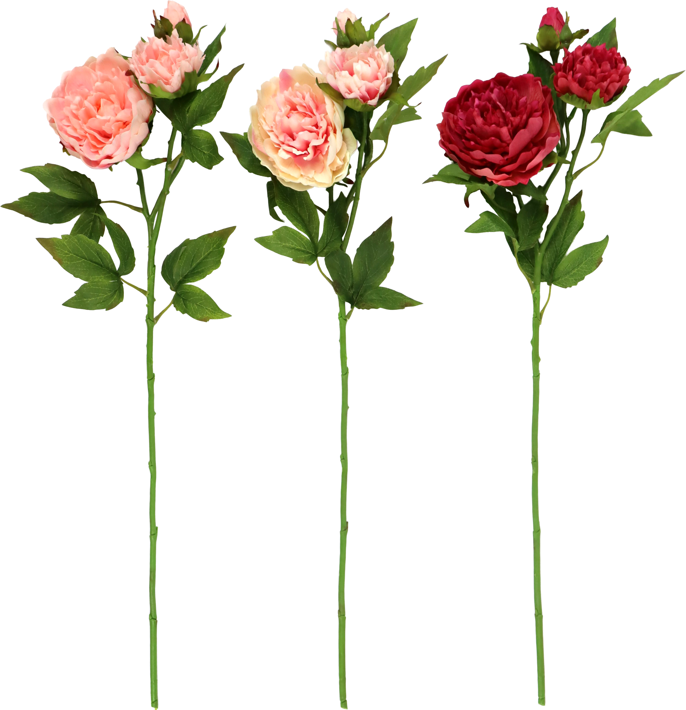 6695 FLOWERS PFINGSTROSE  S/3
