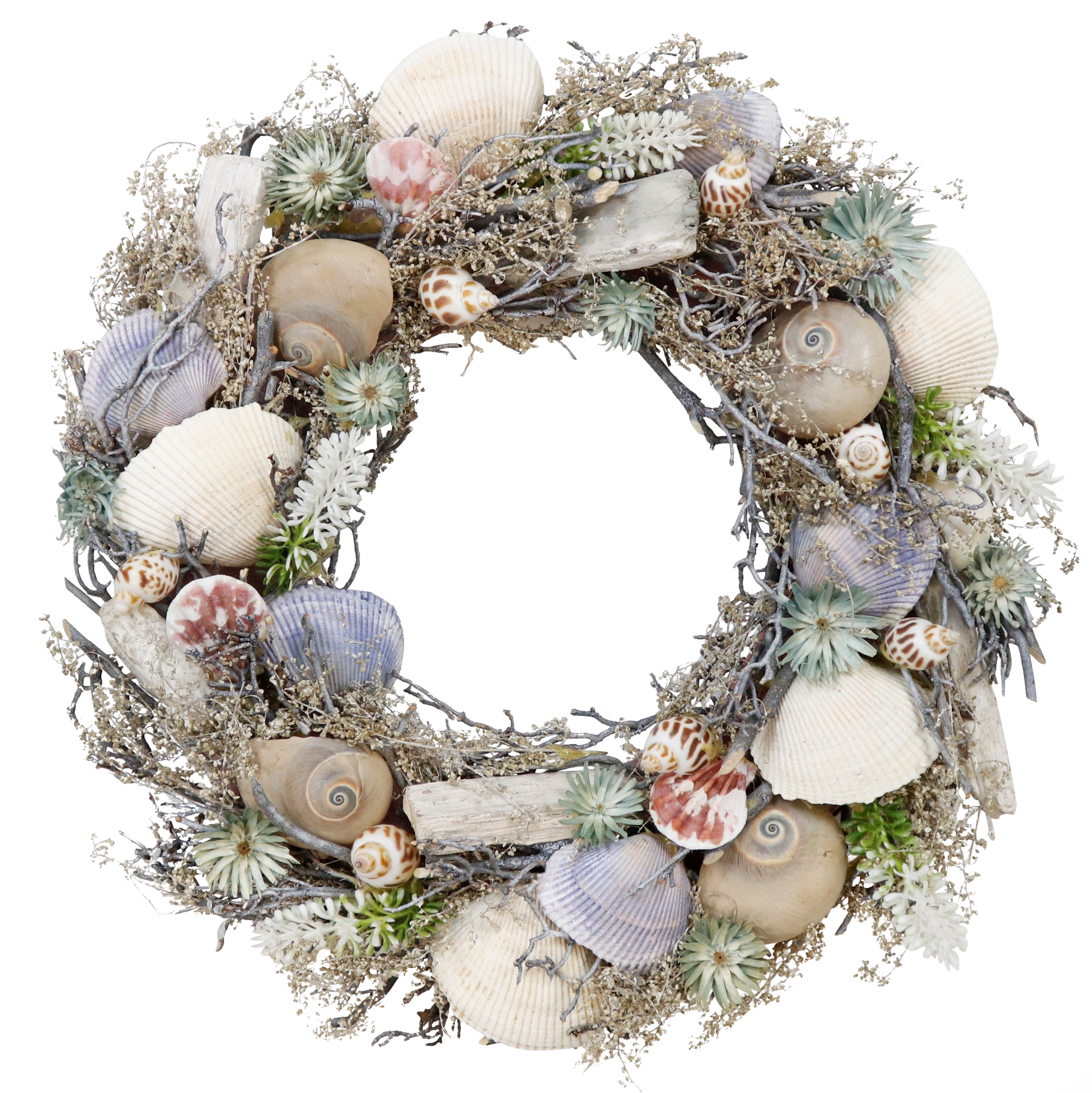 6741 WREATH SHELLS