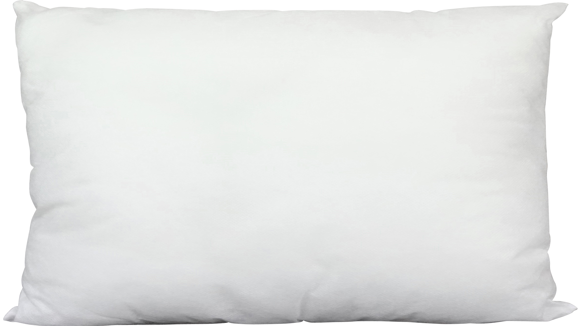 6861 IMBOTTITURA CUSCINO 30X50