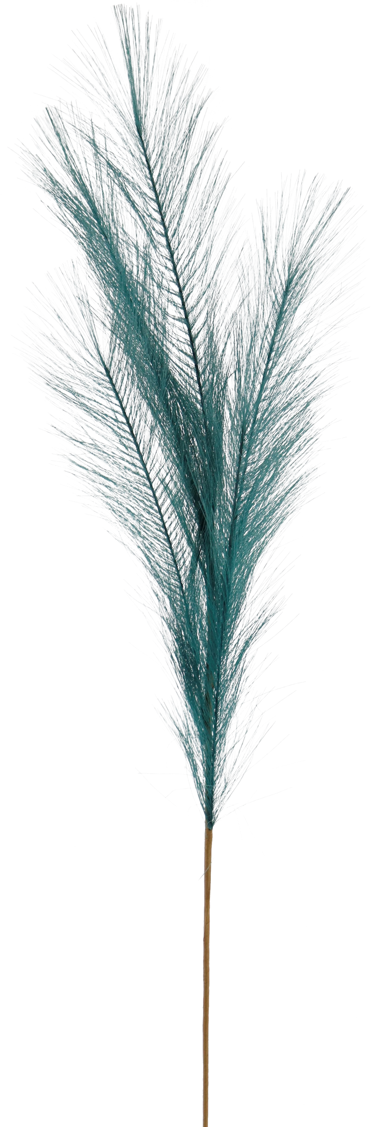 7150 PIUMA  PETROL  80CM