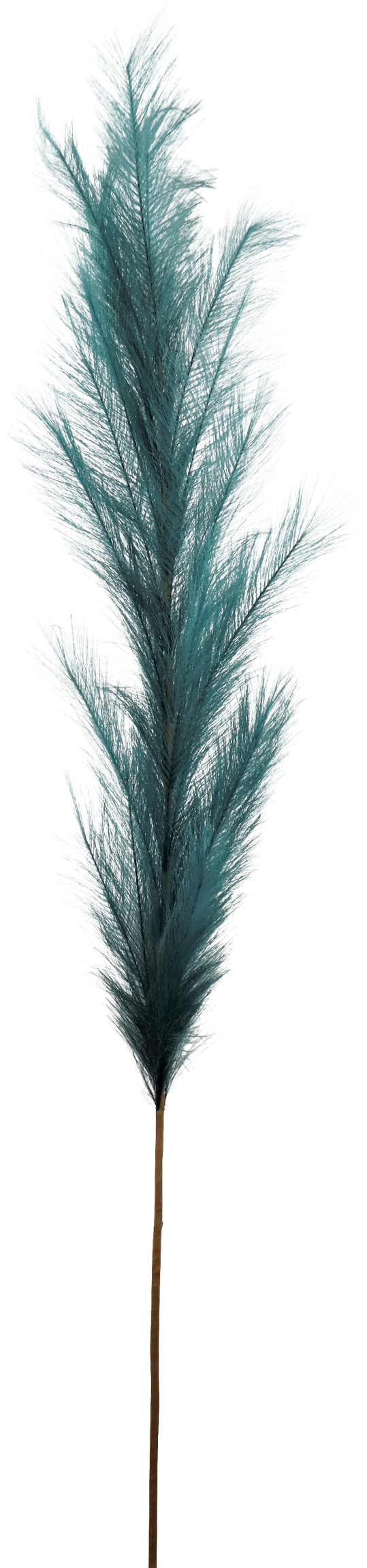 7160 PIUME  PETROL 170CM