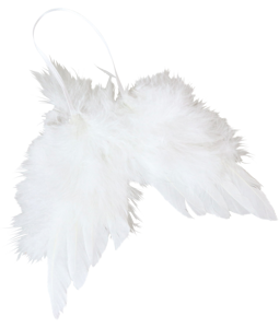 8529 ANGELWINGS WHITE BEAUTY