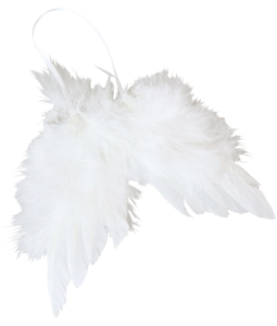 8529 ALI D'ANGELO WHITE BEAUTY