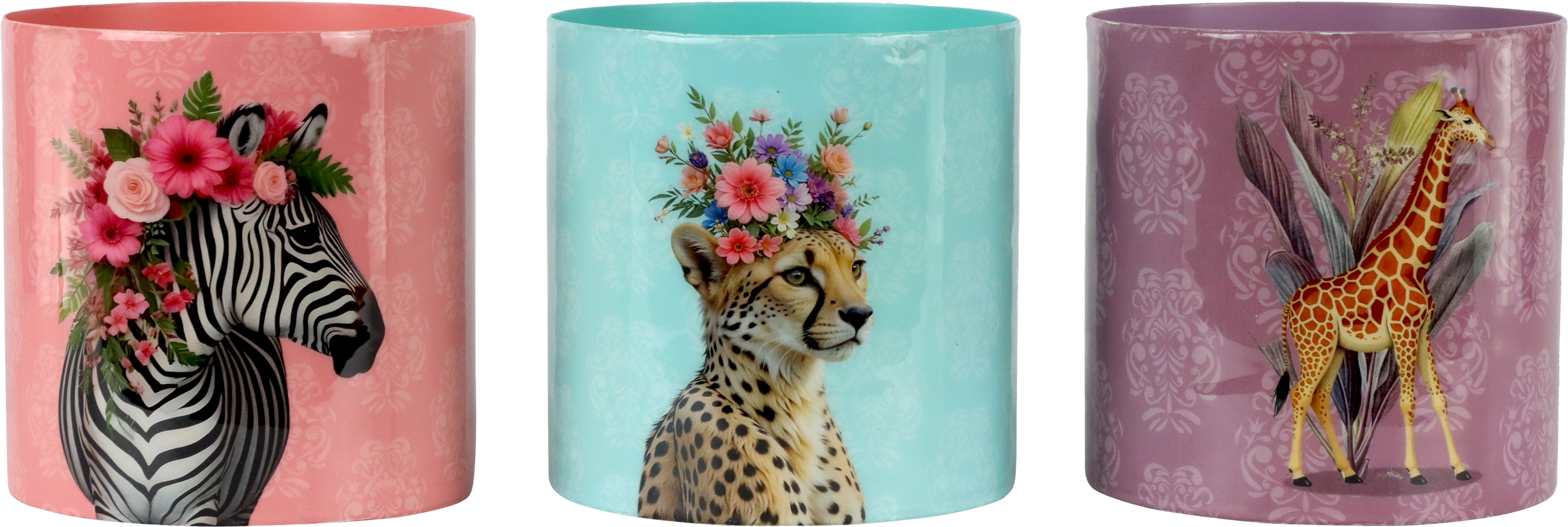 8697 BOTES SAVANNA DREAMS  S/3