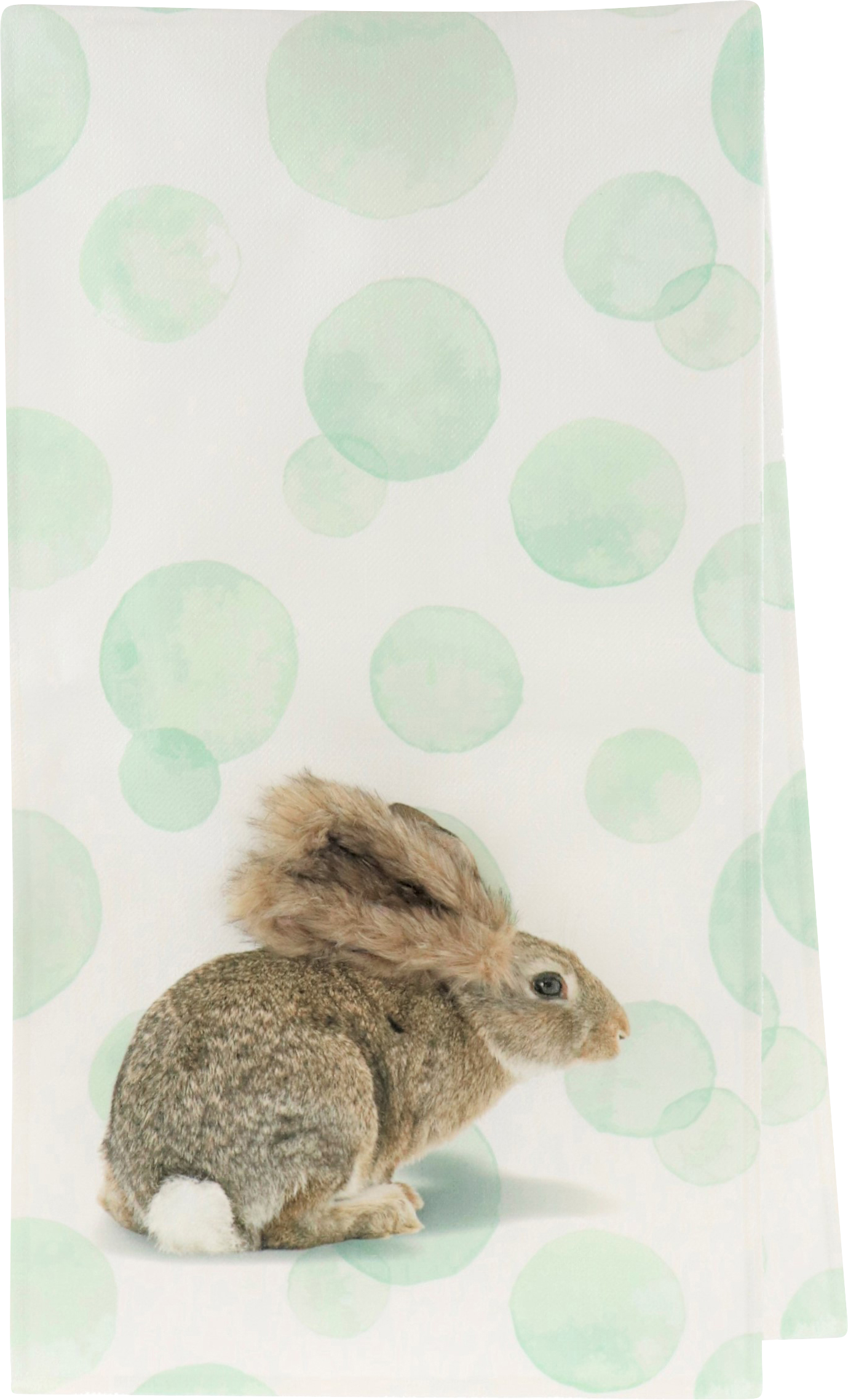 8906 CAMINO DE MESA  HASE 40X150