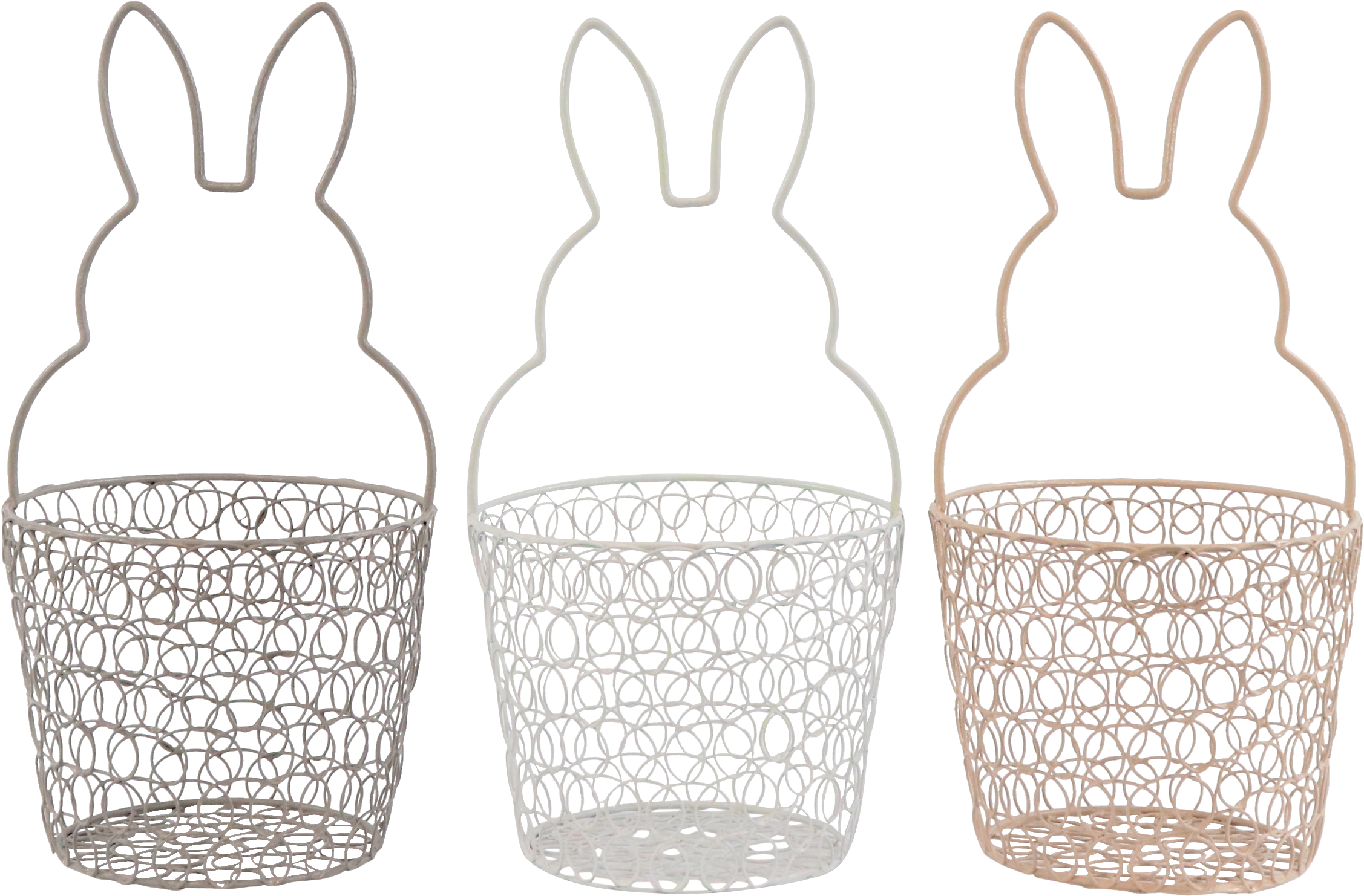 9021 CESTINI  HASE  3PZ