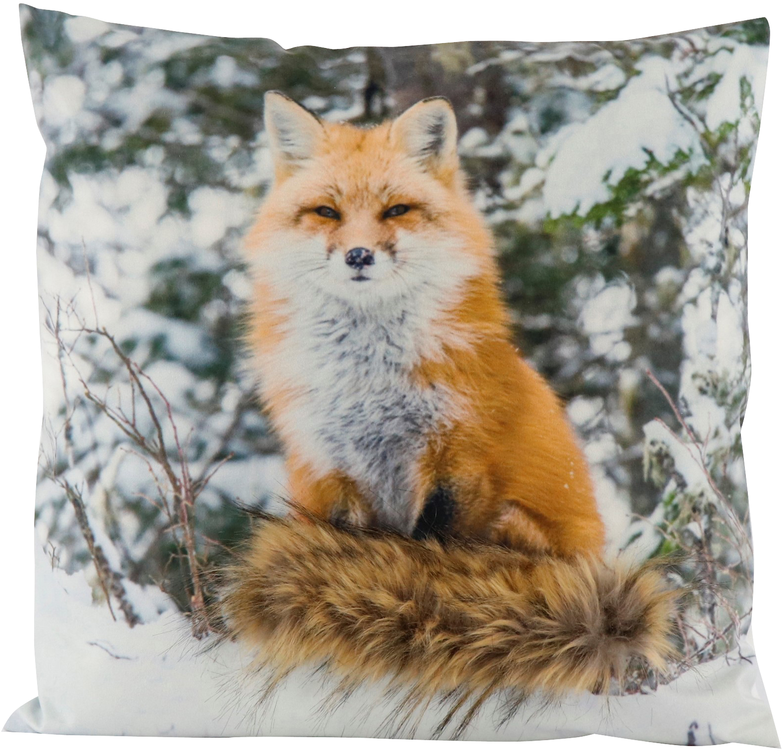 9025 FEDERA  FUCHS  45x45