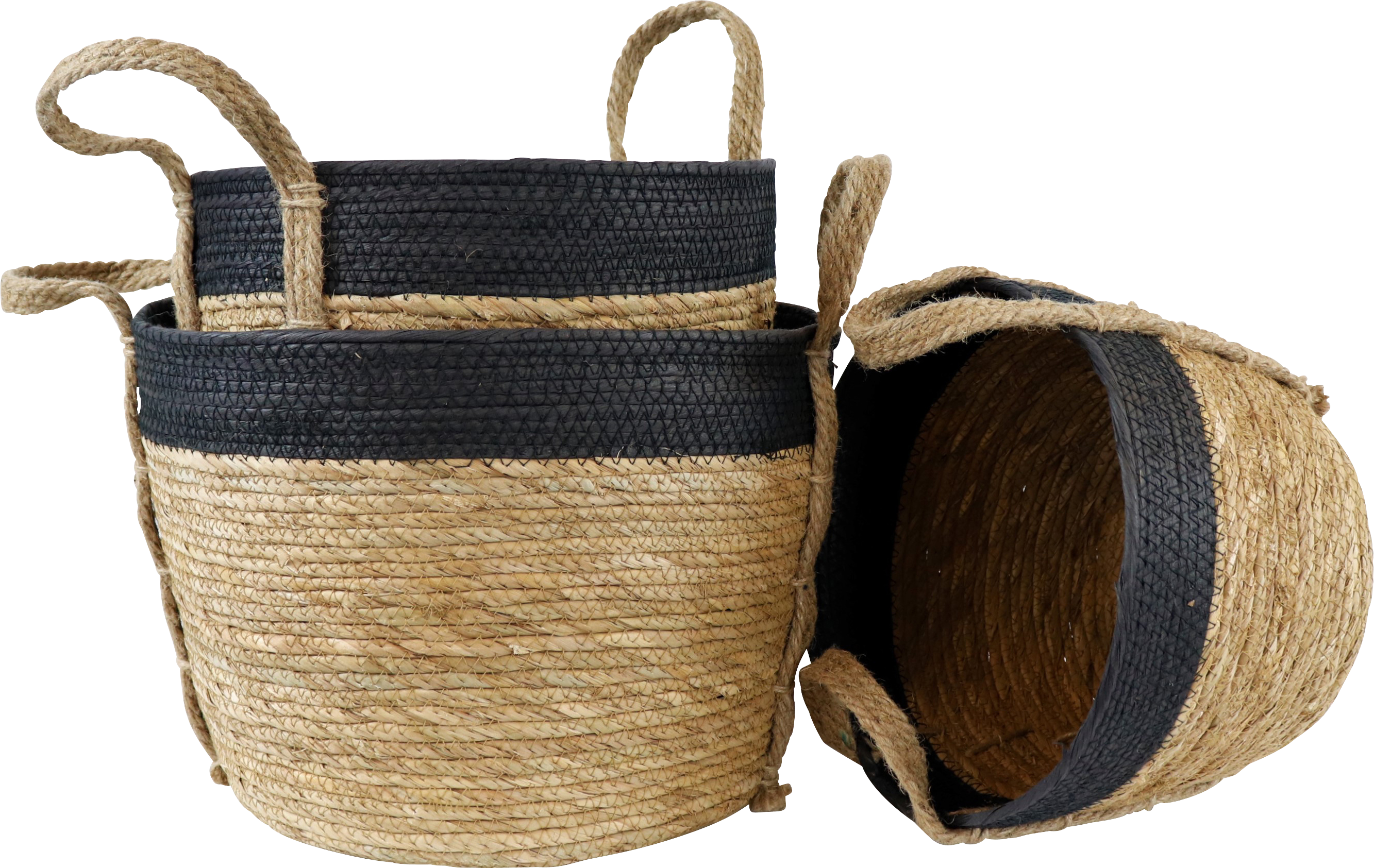 9868 CESTAS  NAXOS  S/3